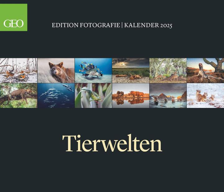 Produktbild Neumann GEO Edition - Tierwelten Wandkalender 2025 - Beeindruckender Kalender für Tierfotografie (Deutsch)