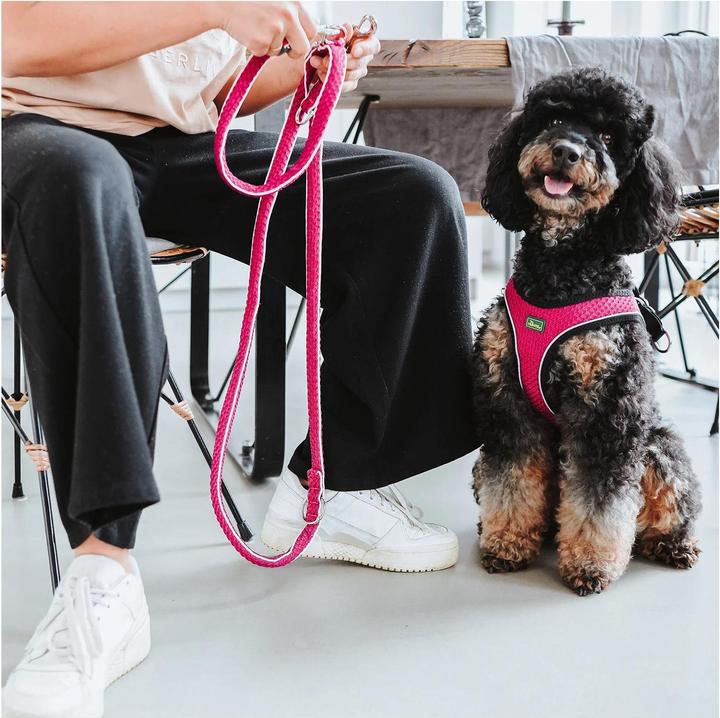 Actual product image Hunter Dog harness Hilo Comfort. S-M, pink - (401673969808) (Dog, Dog sport)