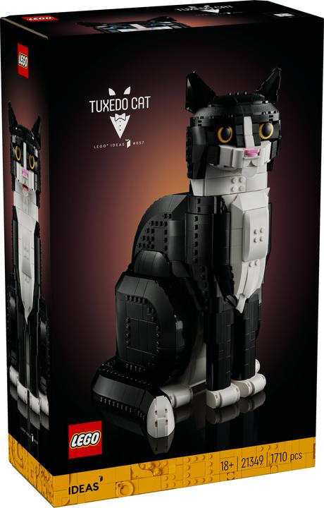 Productafbeelding LEGO Vertrouwelijk (21349, LEGO Ideeën, LEGO Zeldzame Sets)