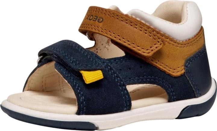 Blue/brown