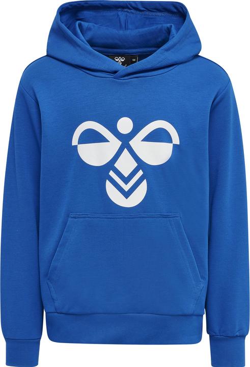 Actual product image hummel Cuatro Hoodie (176)