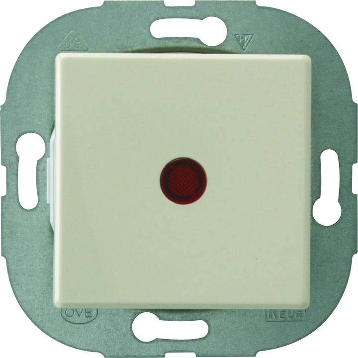 Actual product image REV Düwi Standard Quadro changeover switch illuminated, cream white AL