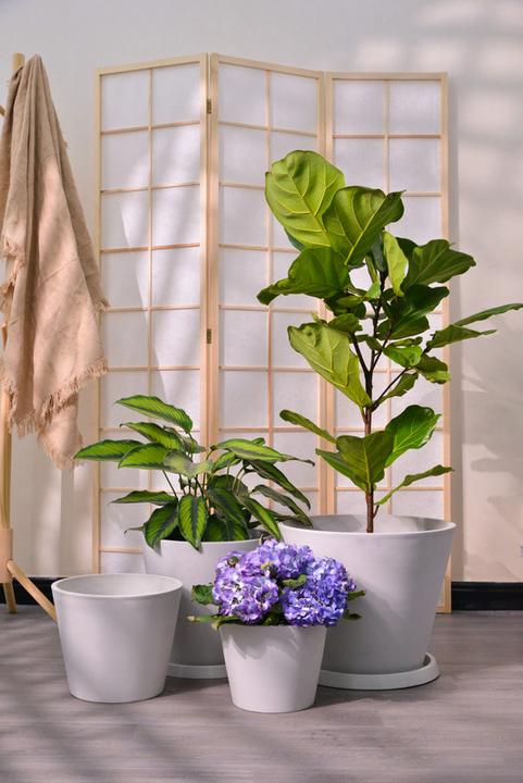 Image du produit Jaco green Porto (31 cm)