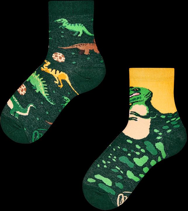 Many Mornings The Dinosaurus
