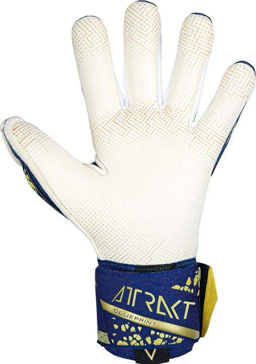 Image du produit Reusch Attrakt Gold X (8)