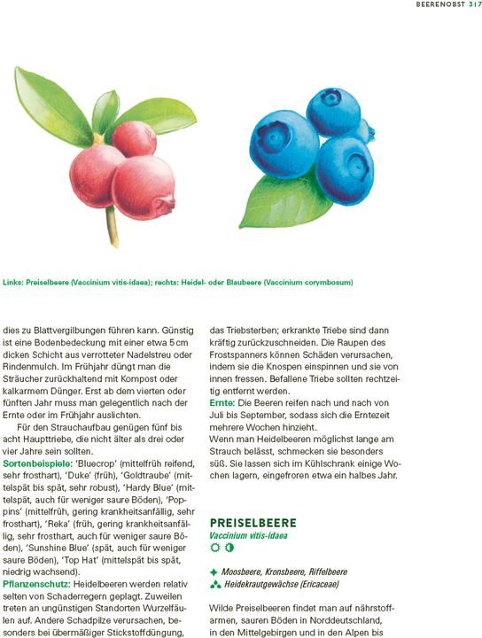 Image du produit Das grosse Gemüse- und Obstgartenbuch (Allemand, Joachim Mayer, 2025)