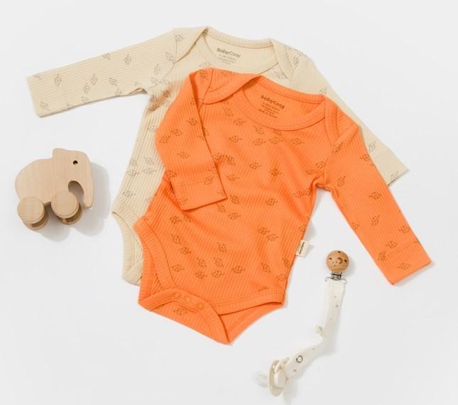 Stone, Apricot