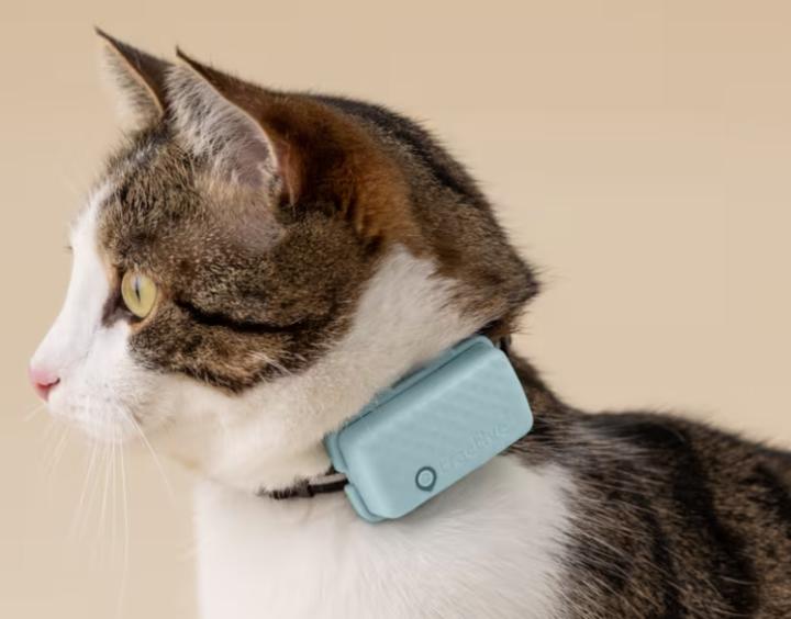 Produktbild Tractive GPS Mini (One Size, Katze, Allgemein)