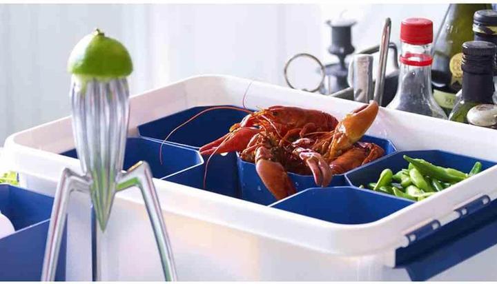 Immagine prodotto Orthex Scatola professionale (59 x 39 x 34 cm, 50 l)