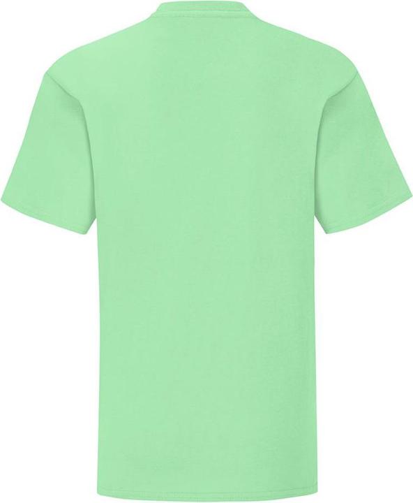 Actual product image Fruit of the Loom UTBC4731 P (116)