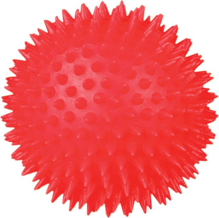 Immagine prodotto Trixie Palla per ricci D=10cm con squeaker (Palla giocattolo per cani)