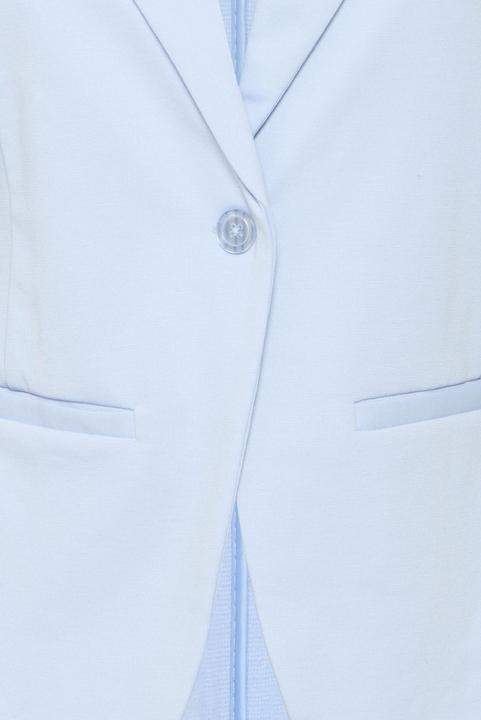 Actual product image Fransa FRZablazer 1 20604689 (L)