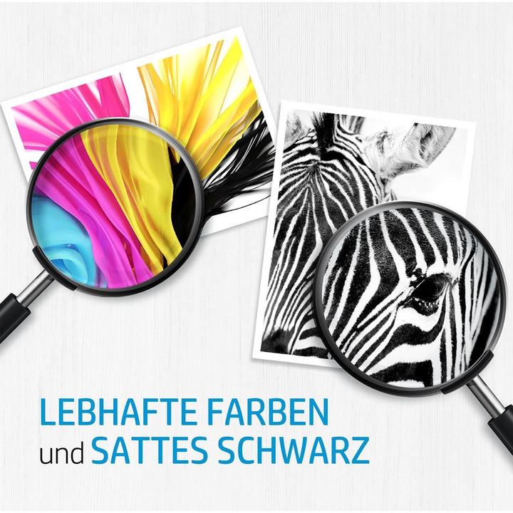 Image du produit HP 70 (M)