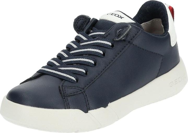 Navy/White