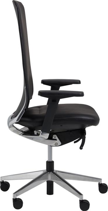 Image du produit micasa Blunt
