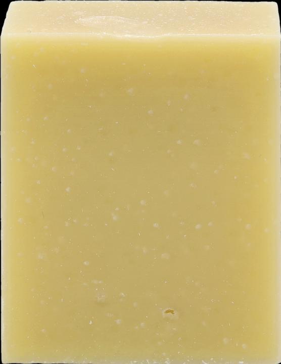 Actual product image Christophe Robin Hydrating Shampoo Bar with Aloe Vera (100 ml, Solid shampoo)