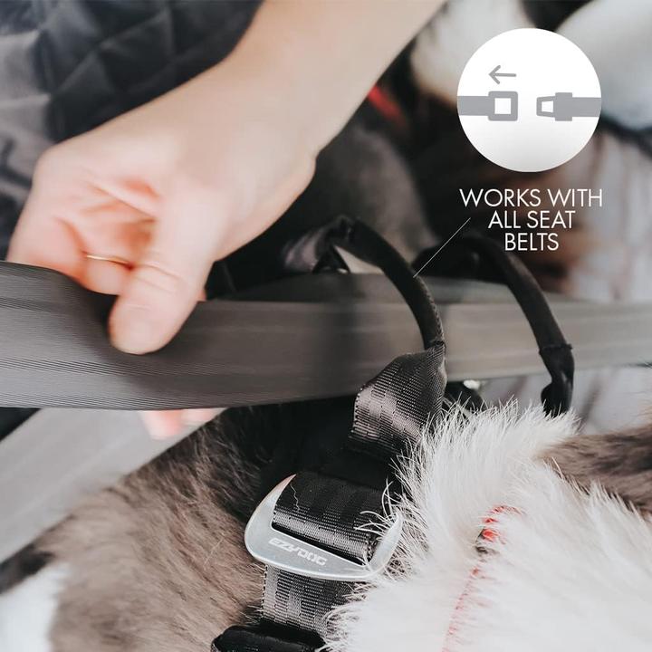 Actual product image EzyDog Drive Dog Car Harness (M, Dog, General)
