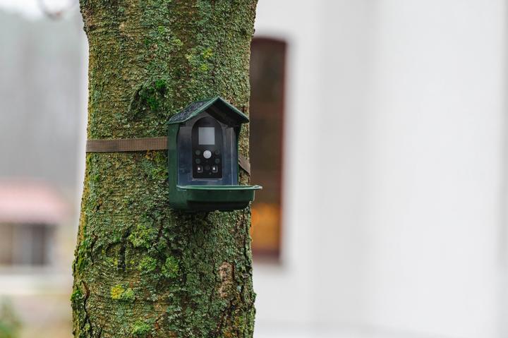 Actual product image Braun Photo BRAUN Bird Cam 130 Solar