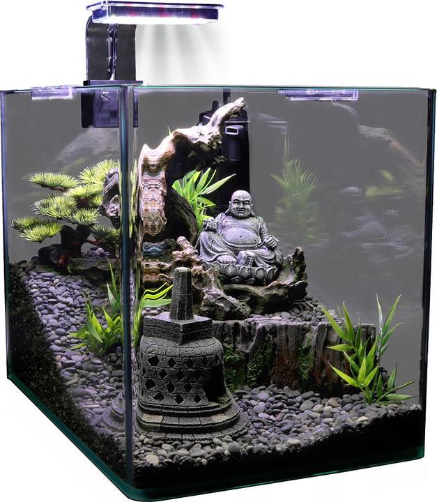 Immagine prodotto Duvoplus Laisse pour poule, 15mm/120cm, noir