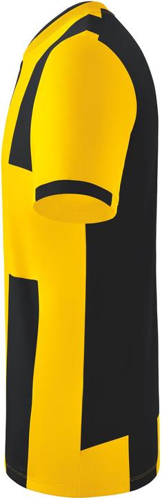Image du produit Erima Maillot Siena 3.0 (164)
