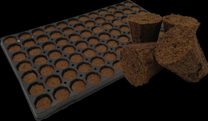 Produktbild Planta Plug Tray mit 77 Stk.