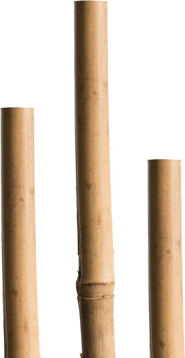 Miogarden Bamboo stick (240 cm, 240 cm)