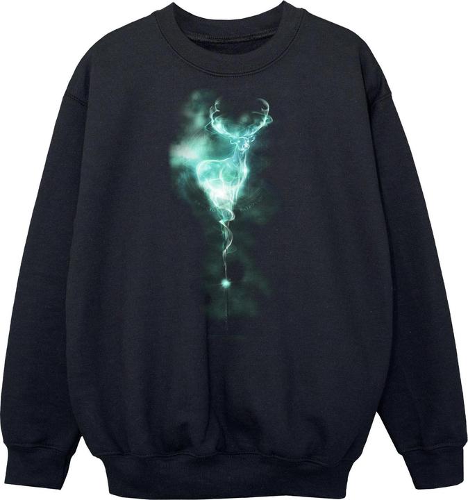 Immagine prodotto Felpa da ragazzo Patronus Mist (140, 146)