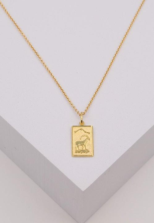 Image du produit Muau Capricorne (Or jaune 750/18K)