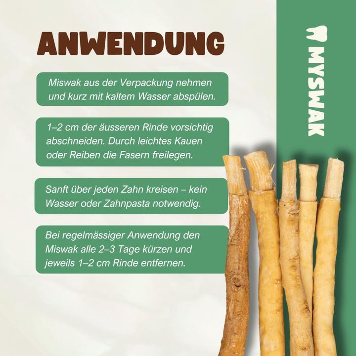 Produktbild Miswak Zahnputzholz (6 x)