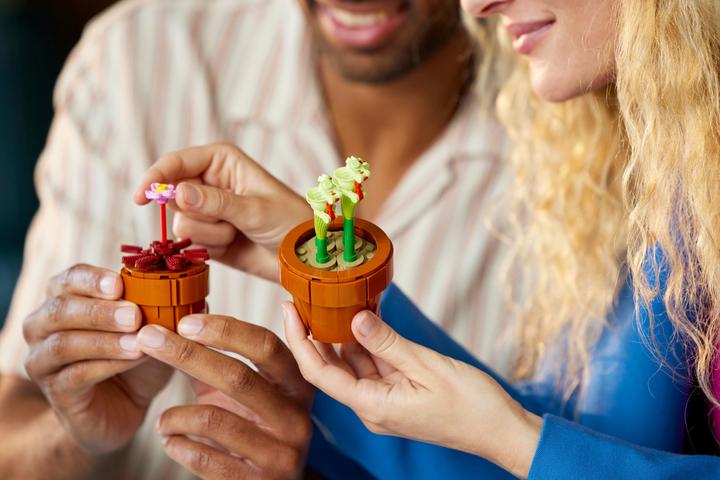 Actual product image LEGO Mini plants (10329, LEGO Icons, LEGO Botanical)