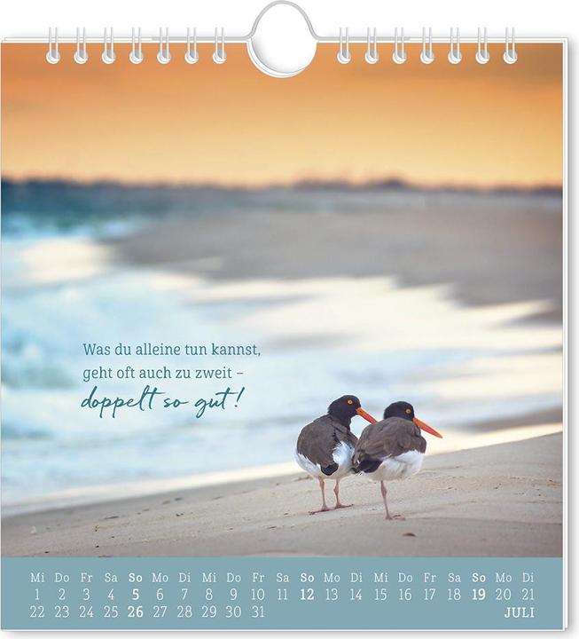 Produktbild Postkartenkalender 2026 Strandgut (16 x 17 cm, Deutsch)