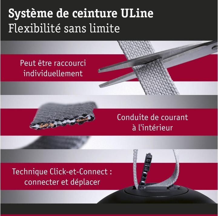 Actual product image Paulmann Gurt-System ULine Pendel Cone (1245 lm)