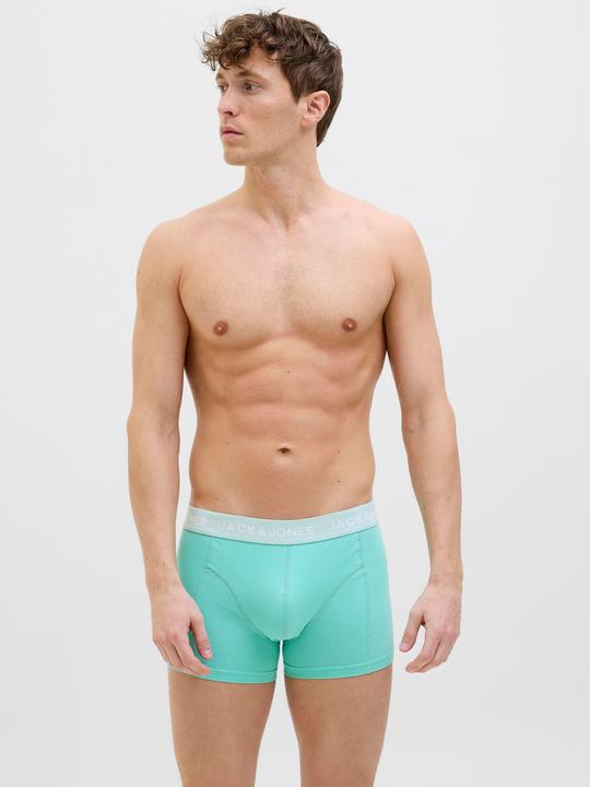 Actual product image Jack & Jones Shorts Shorts (L, pack of 12)