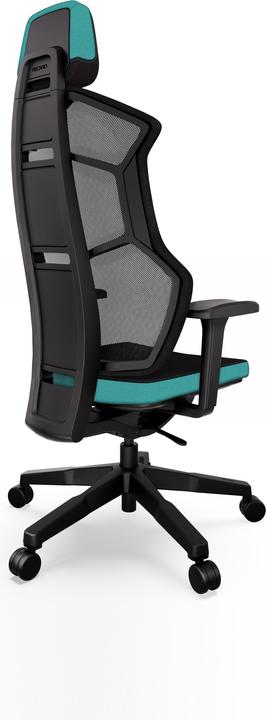 Actual product image RECARO Aer