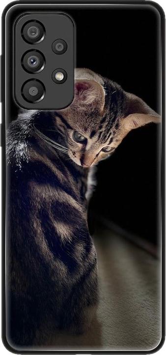 Young cat