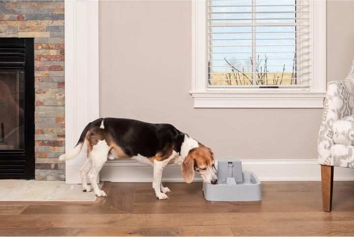 Produktbild Sportdog Drinkwell 3.7 Litre Pet Fountain - EU Adaptor (3.70 l)
