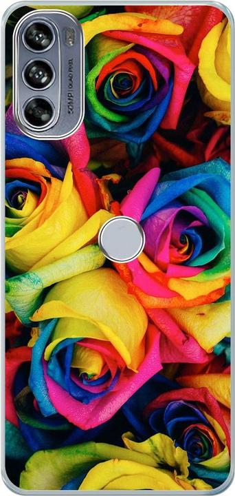 Colourful roses