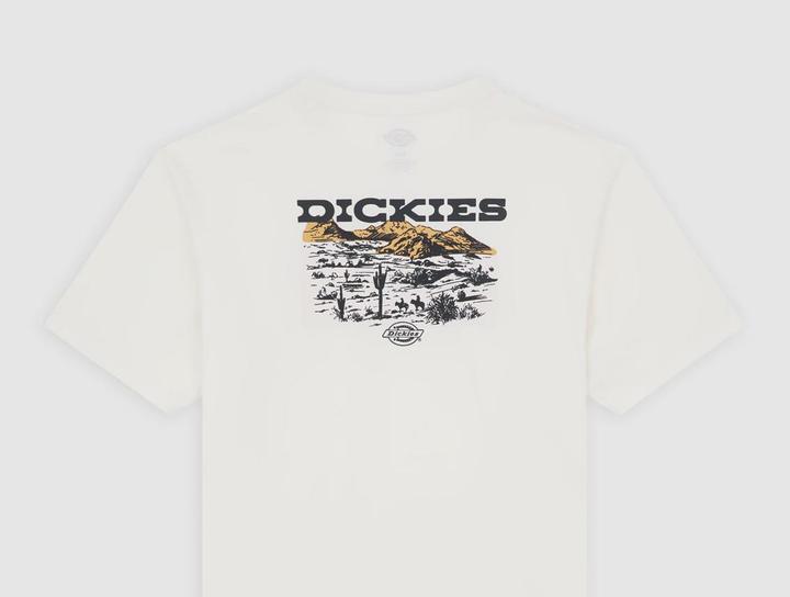 Actual product image Dickies Landascape Ss Tee Egret (XL)