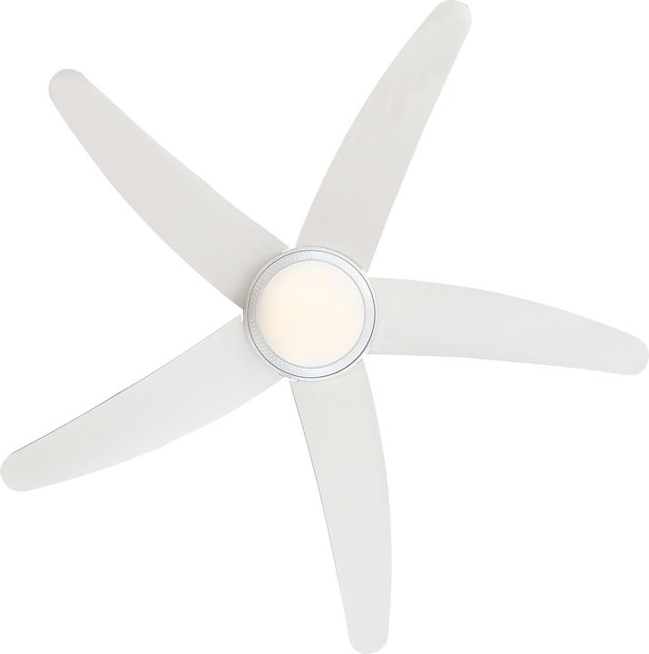Image du produit Westinghouse Bendan (50 dB)