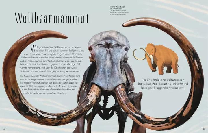 Actual product image Wundervolle Welt der Dinosaurier und der Urzeit (German, Anusuya Chinsamy-Turan, 2022)