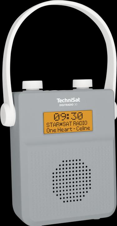 Actual product image TechniSat DigitRadio 30 (DAB+, Bluetooth)