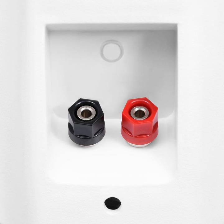 Actual product image VidaXL Forest