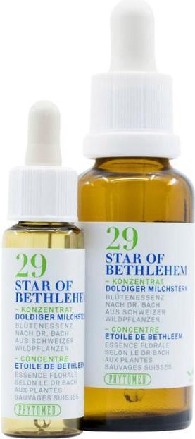 Produktbild Phytomed Bachblüten No29 Doldiger Milchstern (1 Stück, Flüssigkeit, 22 g)