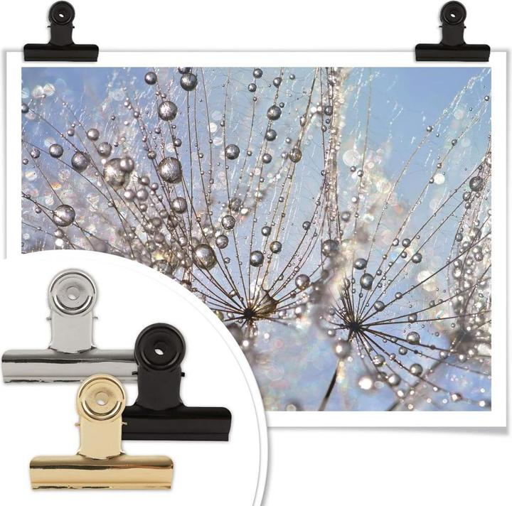 Immagine prodotto Trenddeko Goccia d'acqua nel dente di leone (80 x 60 cm)
