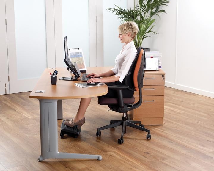 Produktbild Fellowes Professional Rückenstütze