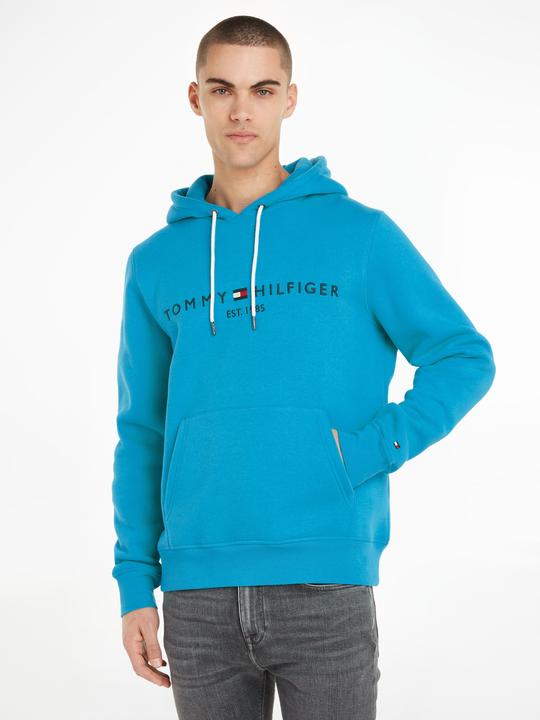 Actual product image Tommy Hilfiger Tommy Logo Hoody (M)