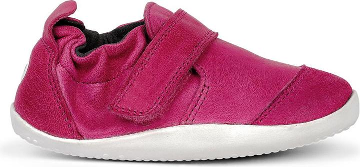Raspberry