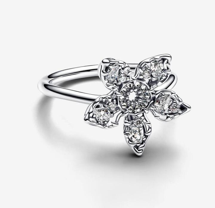Immagine prodotto Pandora Anello (54, 925 Argento)