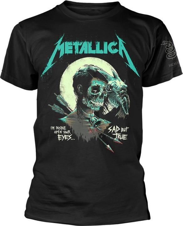 Metallica SBT Poster