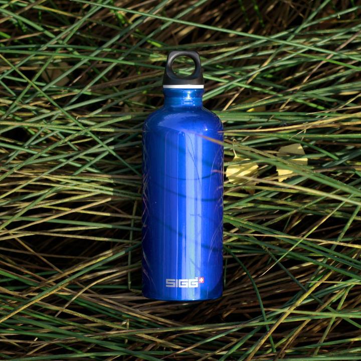 Immagine prodotto Sigg Viaggiatore (0.60 l)